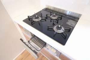 ベルフェスタ上中里 103号-13