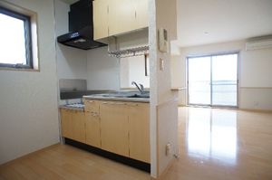 ルミエール・コミヤマ 305号-2