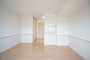 ルミエール・コミヤマ 305号-3