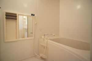 ルミエール・コミヤマ 305号-8