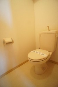 ルミエール・コミヤマ 305号-11