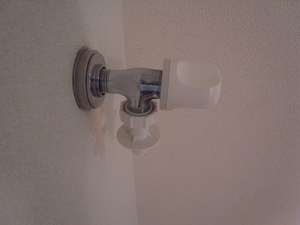 Ｓｔ．Ｈｉｌｌｓ 206号-10