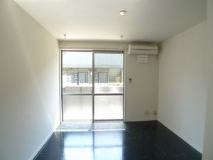 セントラルパイン長谷 102号-8