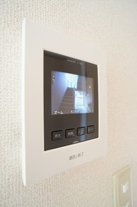 Edelweiss 101号-6