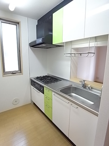 グリーン・ヒルD 101号-9