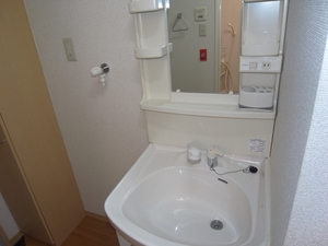 アイリス大島A 105号-5