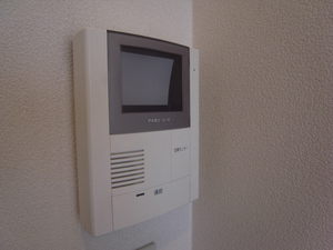 アイリス大島B 202号-9