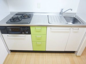 フォンテーヌ八重咲 102号-5
