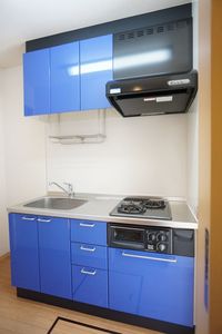 ディアス・ルナリア新川崎 202号-6