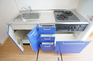 ディアス・ルナリア新川崎 202号-7