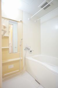 ディアス・ルナリア新川崎 202号-8