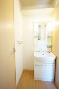 ディアス・ルナリア新川崎 202号-9