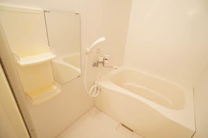 ベレオ鶴見小野 305号-11