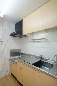 サザンハイツ南林間N 101号-4