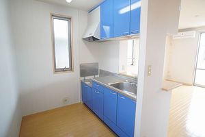 レオ・ハナⅠ 201号-4