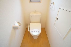 レオ・ハナⅠ 201号-11