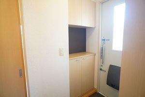 レオ・ハナⅠ 201号-13