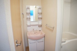 ユーチャリスＣ 201号-5