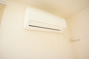 ユーチャリスＣ 201号-9