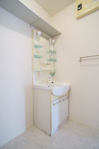 ライネスハイム 201号-9