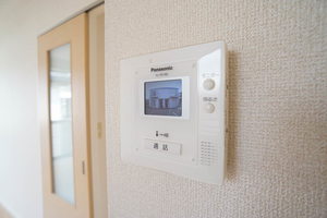 ライネスハイム 201号-12