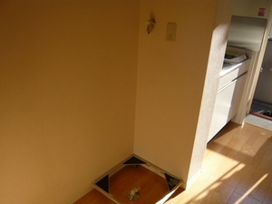 パークアベニュー岸根 202号-10