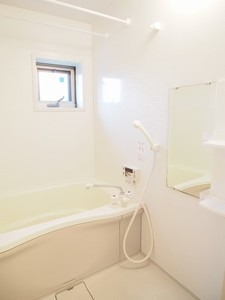 ベラビスタＣ 101号-8