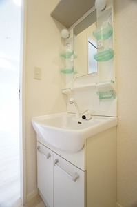 ベラビスタD 102号-9