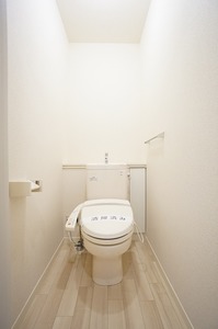 ベラビスタD 102号-10