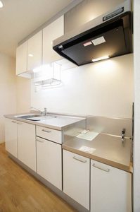 カメリアカーサＢ 102号-4