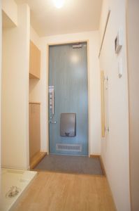 シフォン 201号-10