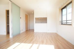 Ｈａｕ　Ｔｒｅｅ　Ｌａｎａｉ 102号-3