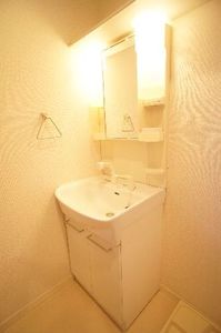 Ｈａｕ　Ｔｒｅｅ　Ｌａｎａｉ 102号-9