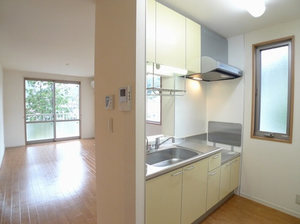 ｒｏｓａ 202号-8