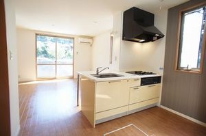 メゾン ルミエール 101号-3