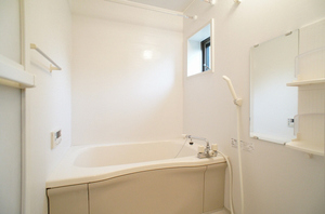 メゾン ルミエール 101号-7