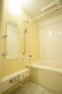 コ-ポプルメリアB 202号-10