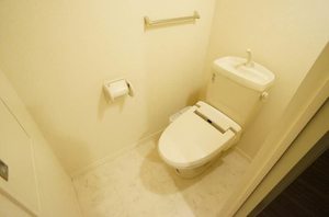 リリー・レジデンス港南 303号-11