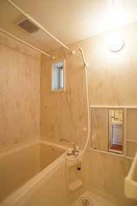 エクセレントハイムⅣ 101号-10