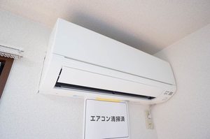 ＡＮＮＥＸ－Ｋ 201号-4