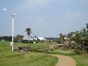 ディアス湘南 101号-6