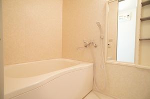 ポポラーレ相武台 303号-9