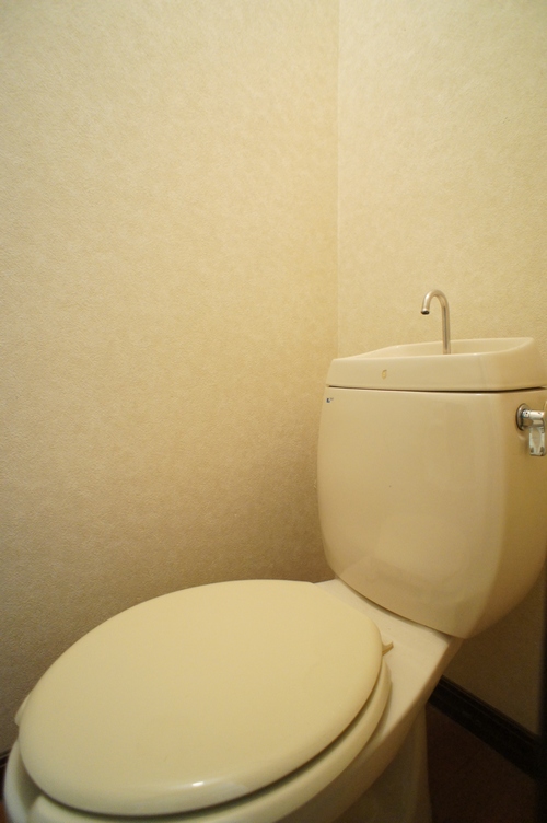 サンシャインプラザ 202号-10