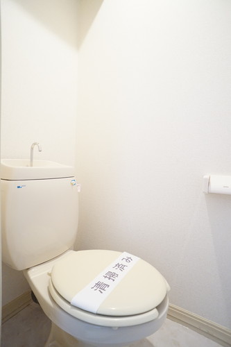 ドゥ・ルミエール 102号-10