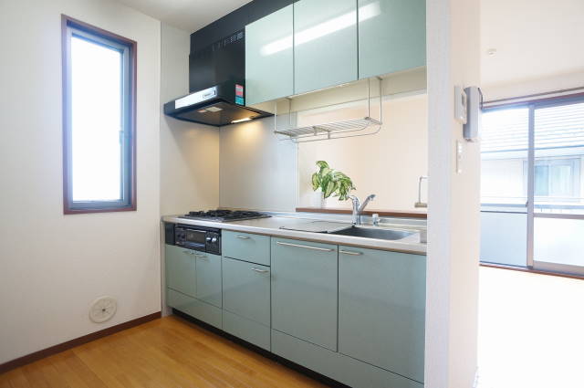 ラズベリー 201号-5