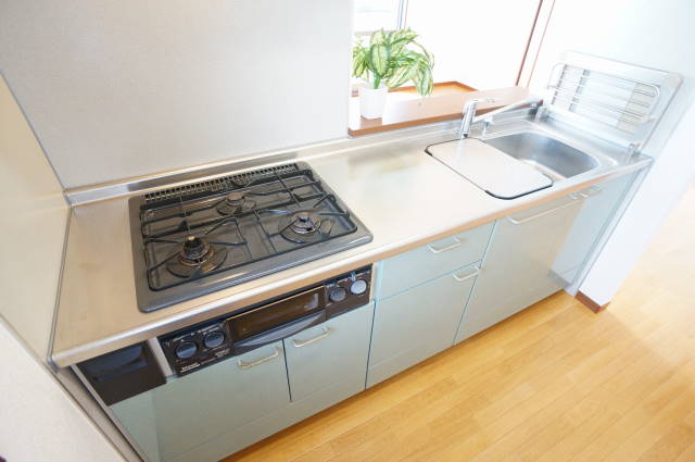 ラズベリー 201号-6