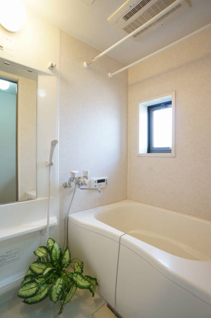 ラズベリー 201号-8