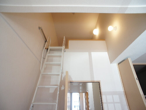 Ｓｕｎｎｙ　Ｃｌｉｍｂ 203号-4