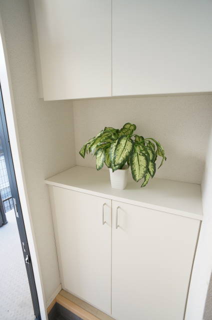 パーシモンＫ　Ⅳ 105号-10