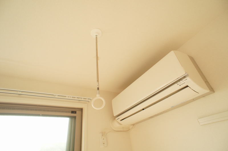 ハナミズキ 203号-5